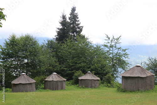 Camping area in forest, bungalow houses in green 