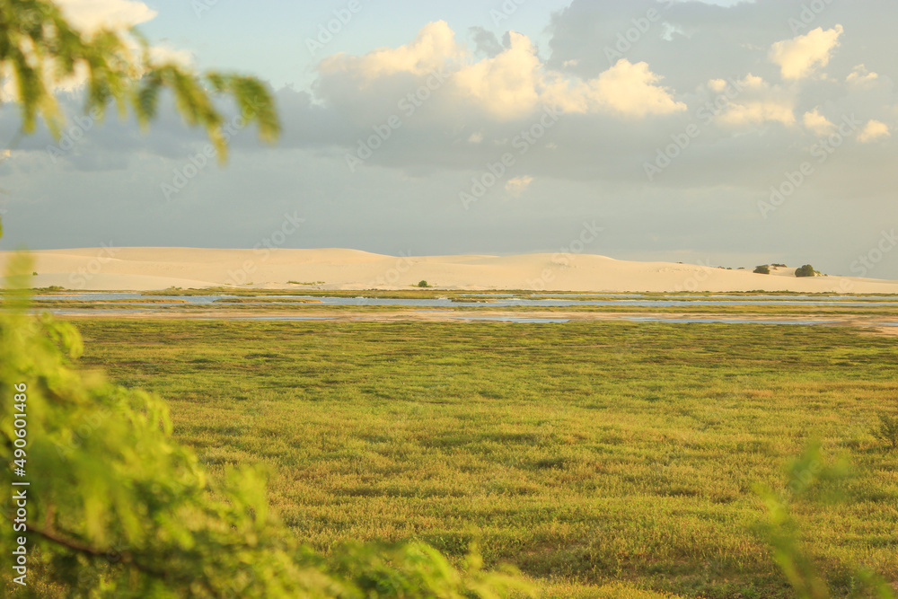 Fototapeta premium field and dunes