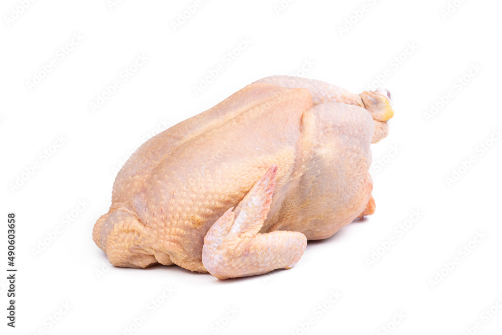 Fresh raw chicken isolated on white background. Fresh raw chicken isolated on white background.