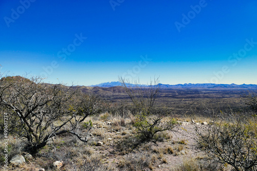 The arid Sonoran desert between Arivaca and Nogales, on the Mexican border, Arizona, USA. photo