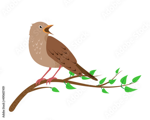 Singing Nightingale bird sitting on tree brunch isolated on white background. Nightingales icons flat or cartoon vector illustration.