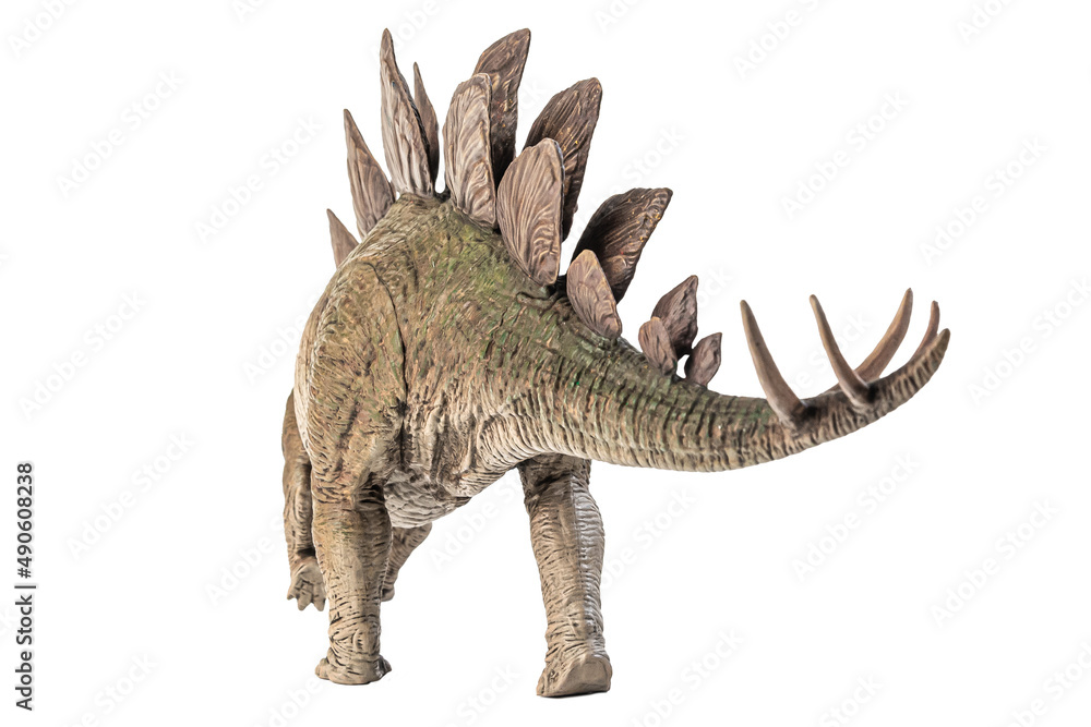 Naklejka premium Stegosaurus Dinosaur on white background