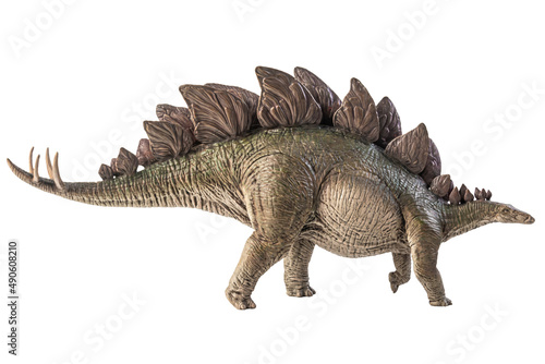 Stegosaurus Dinosaur on white background © meen_na