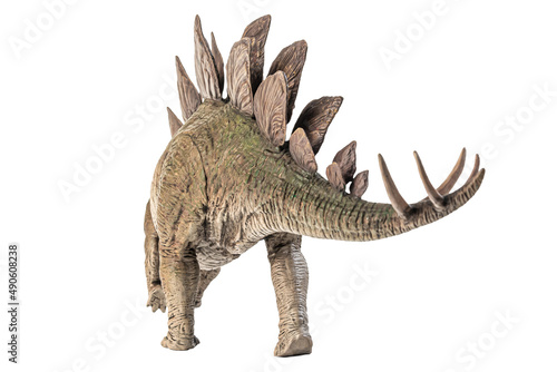 Stegosaurus Dinosaur on white background © meen_na