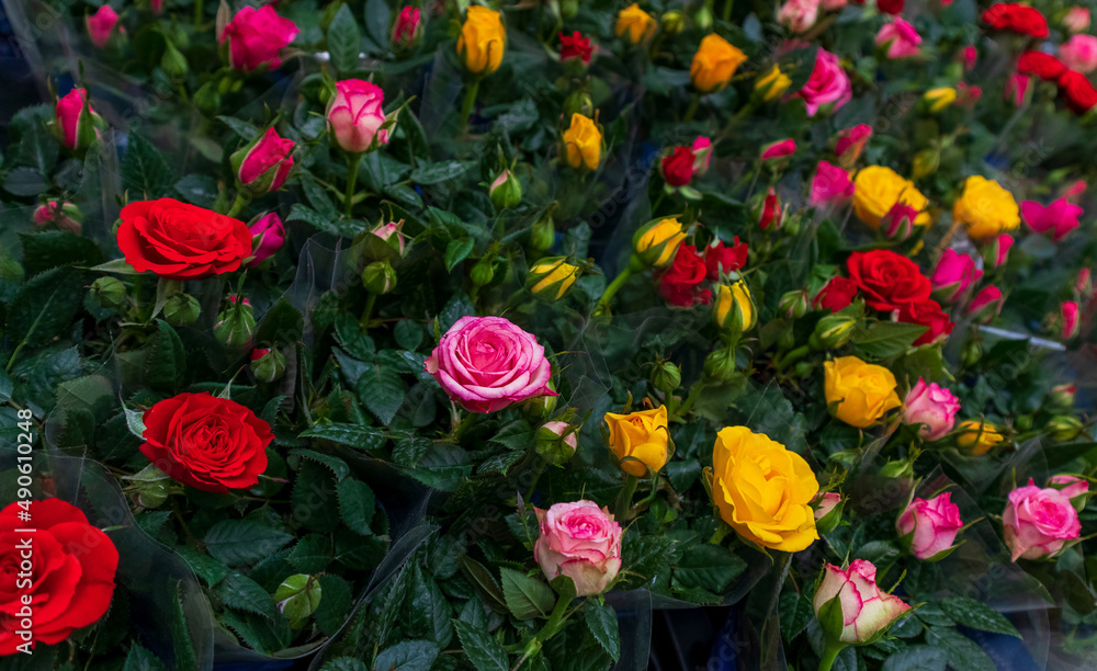 bouquets of roses in a store before a holiday