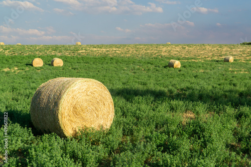 Round Hay Bail in a Field