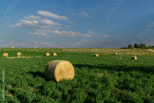 Round Hay Bail in a Field