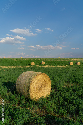 Round Hay Bail in a Field
