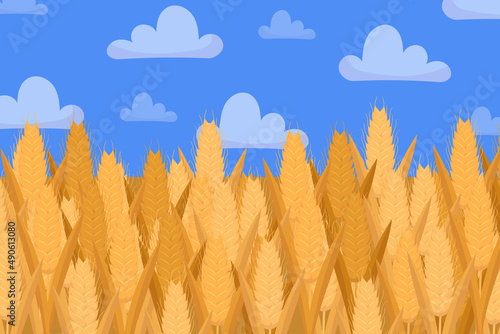 Ukrainian flag color blue and yellow as wheat field and sky. Nature landscape. Flag day. Ukraine support concept illustration