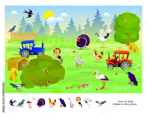 Logic puzzle game for kids. Find 10 birds hidden in the picture. Educational page for children. Developing counting skills. Play online. IQ test. Task for attentiveness. Cartoon vector illustration.