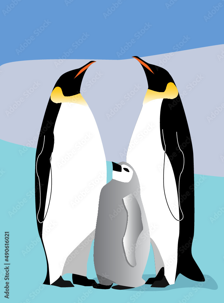 Fototapeta premium Simple penguin family Vector