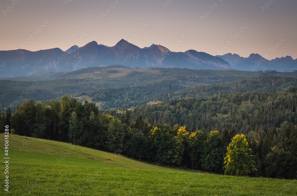 Obraz premium Beautiful spring landscape. Green glade against the backdrop of high mountains.