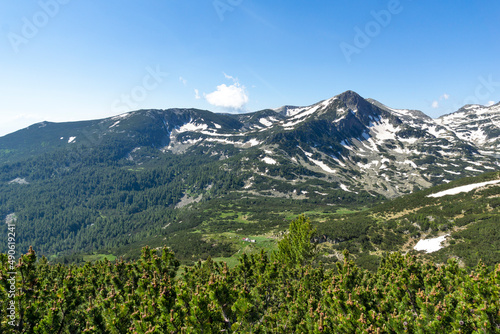 Landscape of Pirin Mountain near Popovo Lake, Bulgaria