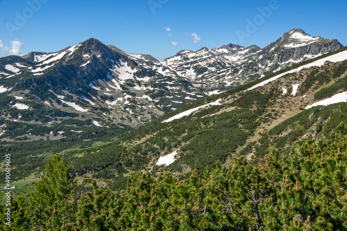 Landscape of Pirin Mountain near Popovo Lake, Bulgaria