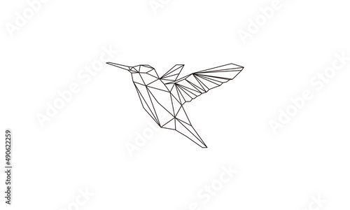 flying bird geometry
