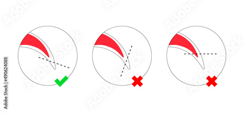 Dog nail trimming guide colorful outline icons set. Pet claws cutting instruction with cut line