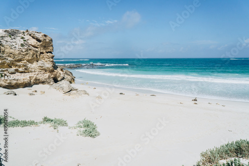 Seals on the beach and wide shot at Seal bay on Kangaroo Island  South Australia