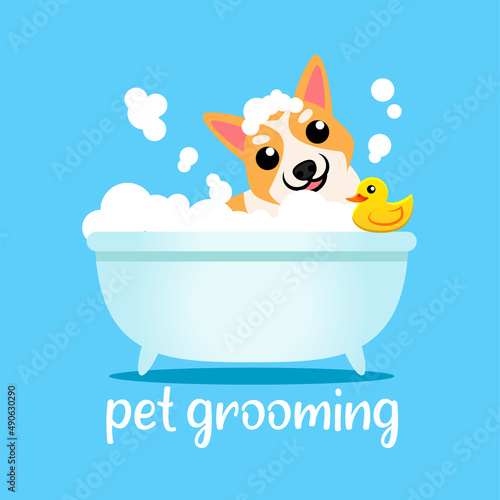 pet grooming cartoon illustration