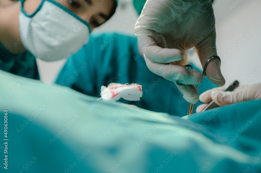 surgical medicine instrument for using in hospital operation room, surgery medical equipment tool by using from professional doctor surgical medicine instrument for using in hospital operation room, surgery medical equipment tool by using from professional doctor