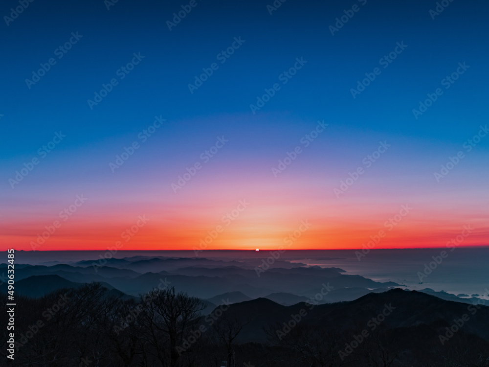 Fototapeta premium 目覚め