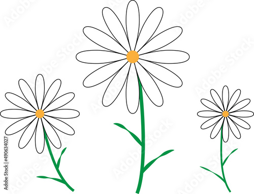 デイジーの花04