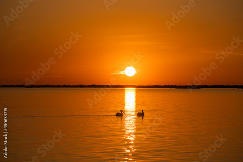 sunset on the sea with silhouette of birds