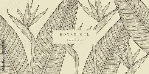 Botanical Sketch Background photo