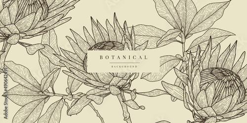 Botanical Sketch Background