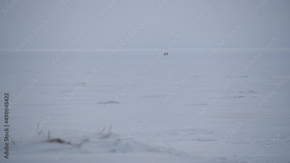 Panoramic view two people walking across the snow-covered Baltic sea Panoramic view two people walking across the snow-covered Baltic sea