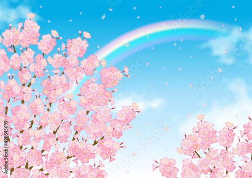桜と青空にかかる虹のベクター素材