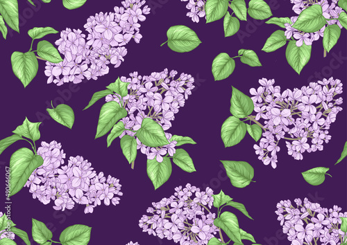 Seamless background with lilac flowers. Vector illustration. Isolated on white background.