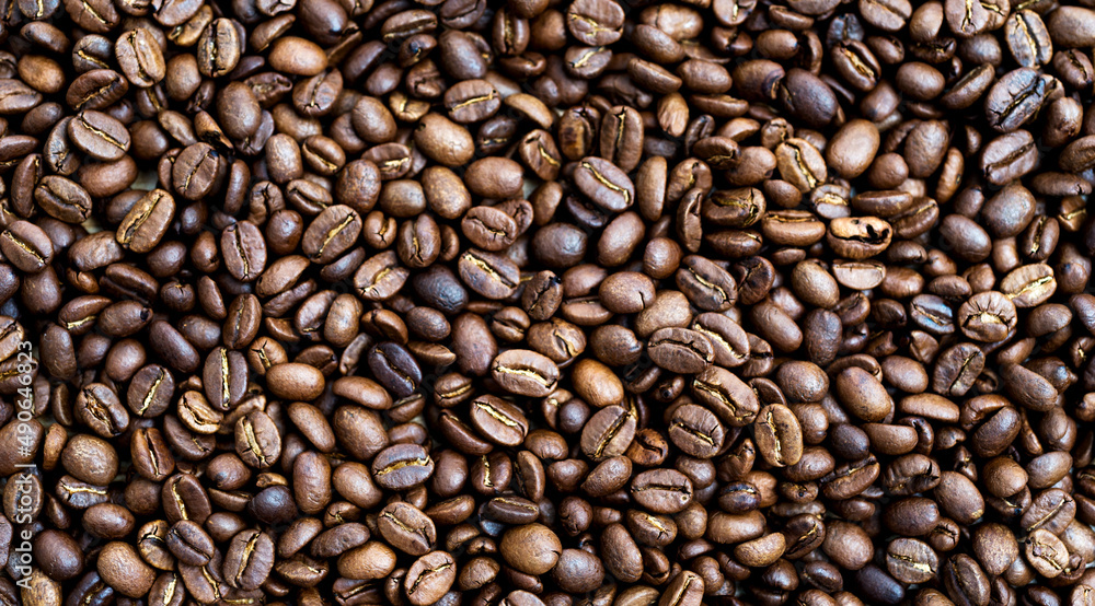 Roasted coffee beans Roasted coffee beans