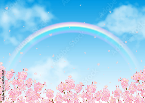 桜と青空にかかる虹のベクター素材