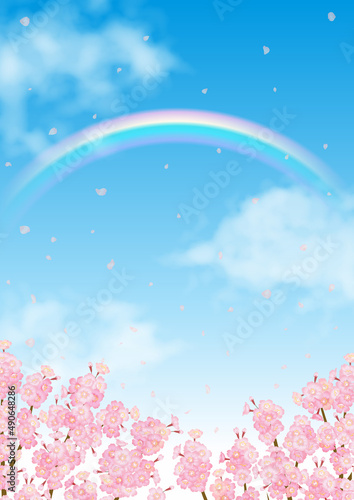 桜と青空にかかる虹のベクター素材