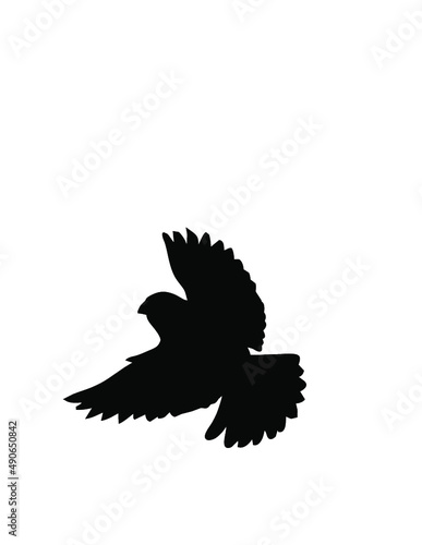 bird vector Silhouette Clipart