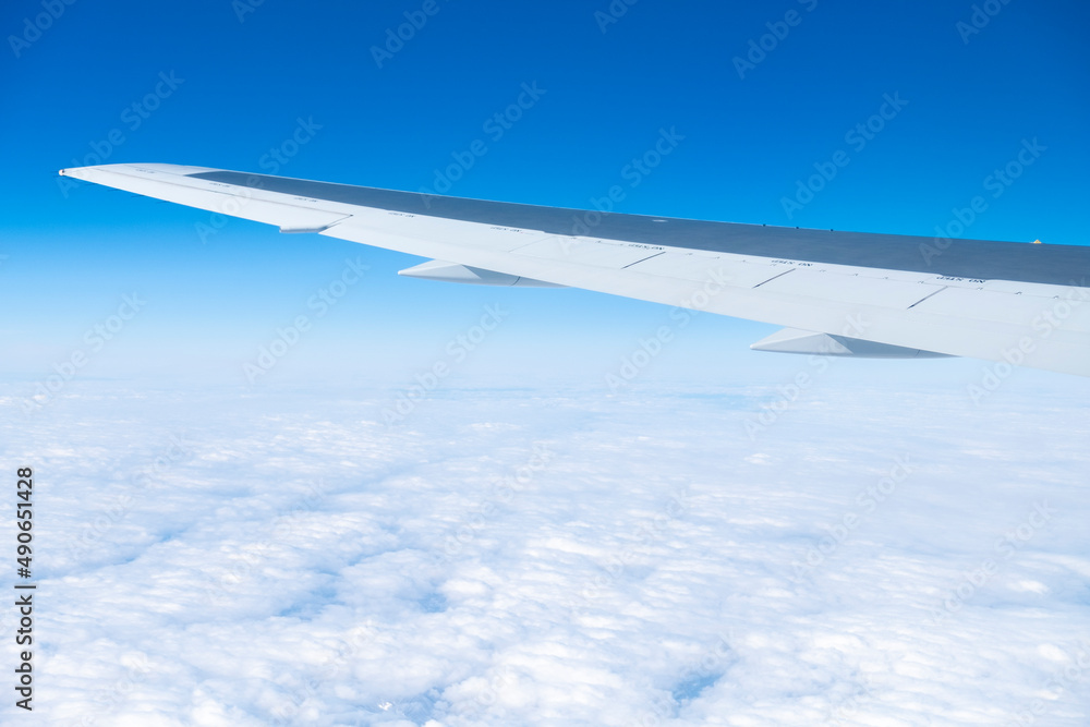 飛行機からの景色