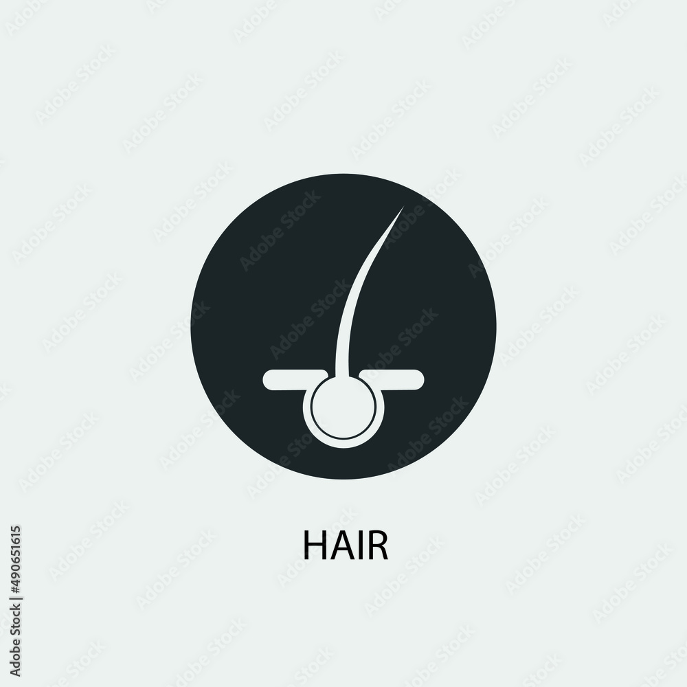 Hair vector icon illustration sign Hair vector icon illustration sign