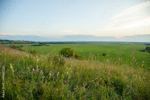 green field and sunset