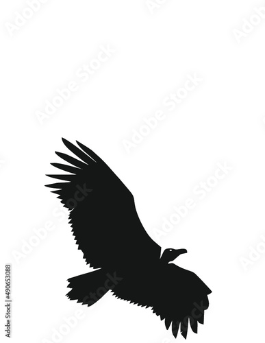 bird vector Silhouette Clipart