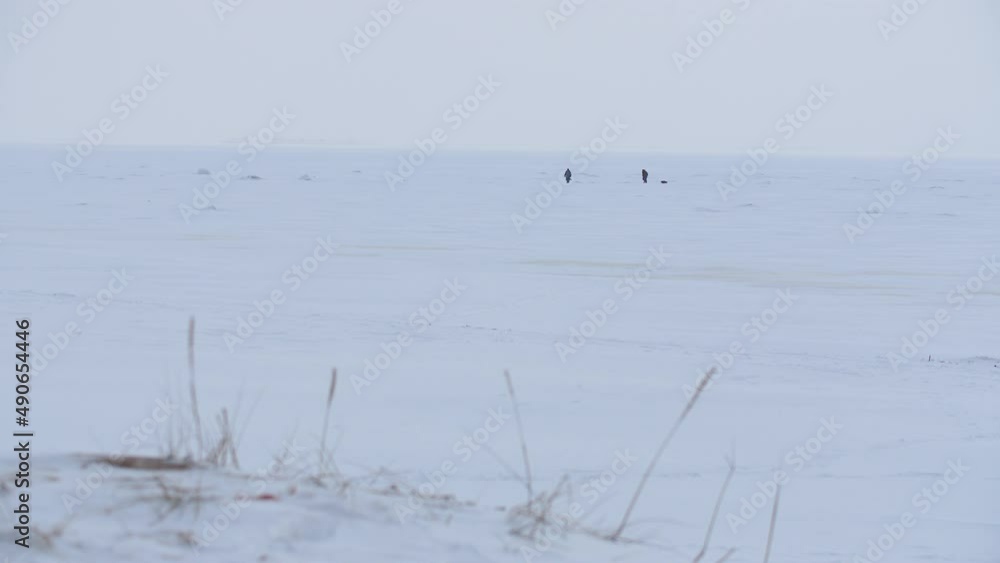 Panoramic view two people walking across the snow-covered Baltic sea Panoramic view two people walking across the snow-covered Baltic sea