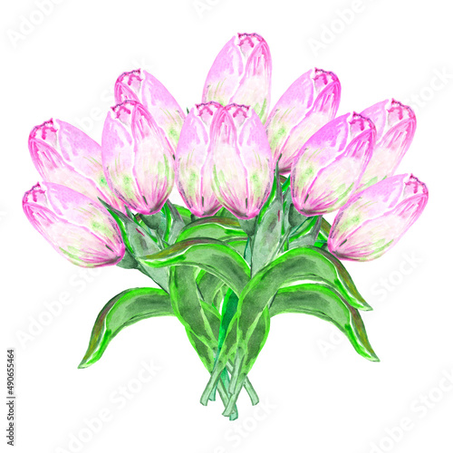 Watercolor illustration of a huge bouquet of light pink, purple tulips, many flowers, spring flowers