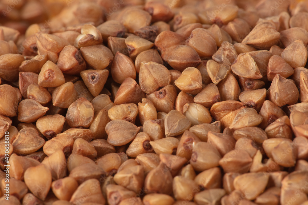 Close-up of buckwheat groats as background. Close-up of buckwheat groats as background.