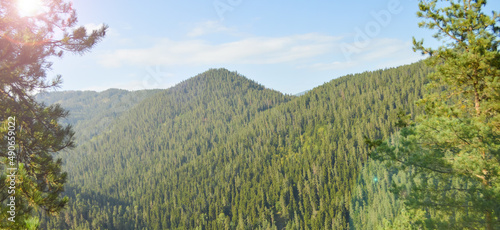 Green mountain background