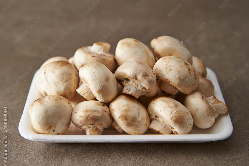 Mushrooms on a gray background Mushrooms on a gray background