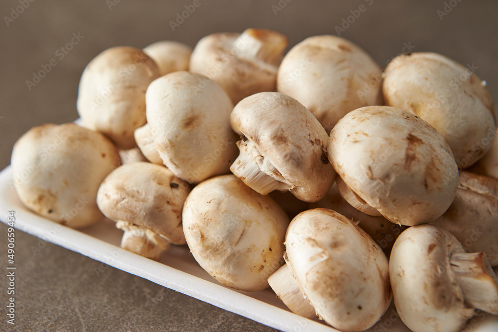 Mushrooms on a gray background