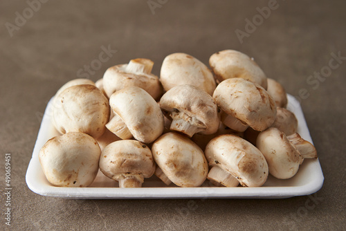 Mushrooms on a gray background