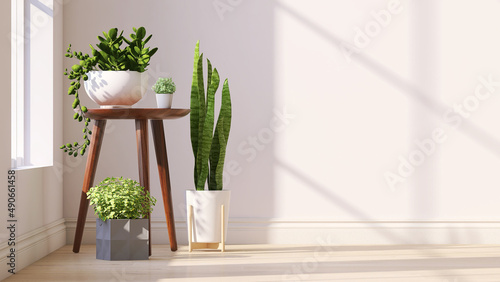 Print op canvas Variety of easy care and air purify indoor tropical house plants in white wall room with sunlight from window casting shadow on wood floor