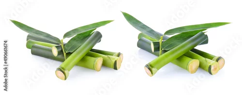 Obraz  z motywem bamboo and bamboo leaves isolated on white background