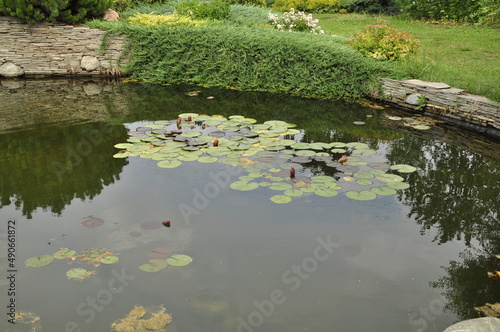 Garden pond. Pond in landscape design.