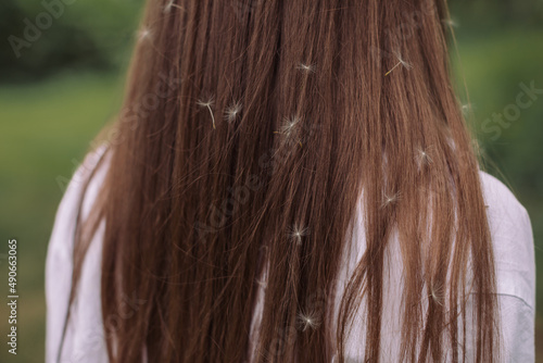 Fluffy dandelion seeds in girl's long hair.